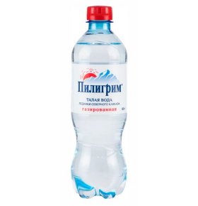 Питьевая вода газированная Пилигрим 0,5 л