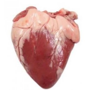 Сердце баранье Мяско охлажденное кг