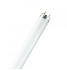 Люминесцентная лампа T8 Basic L 36W/640 G13 Osram
