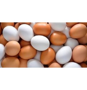 Яйцо куриное Омега-3 и витамин В9 С0 6 шт