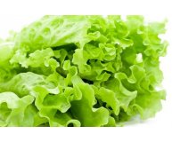 Салат зеленый листовой 130 гр