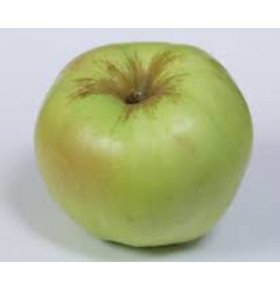Яблоко Богатырь вес кг