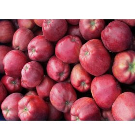 Яблоки Глостер весовое 1 кг