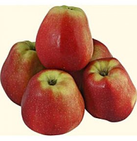 Яблоки Глостер, кг