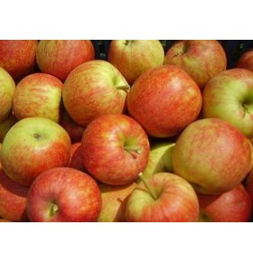 Яблоки Джонагольд Джонагоред весовые 1 кг