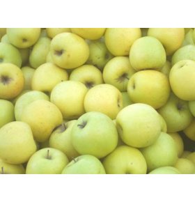 Яблоки Голден весовые кг