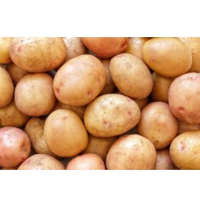 Картофель Жуковский ранний 2 кг