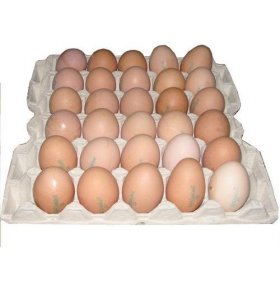 Яйцо куриное С1 термо 30 шт