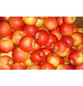 Яблоки Айдаред, 70+, кг