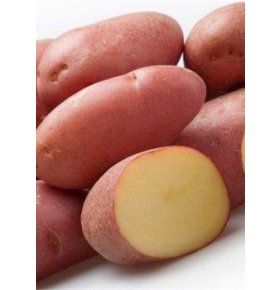 Картофель красный мытый кг