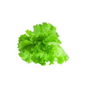 Салат листовой свежий 100 гр