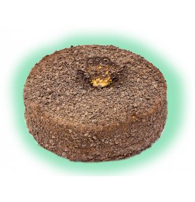 Торт Триумф Золотой Колос 1 кг