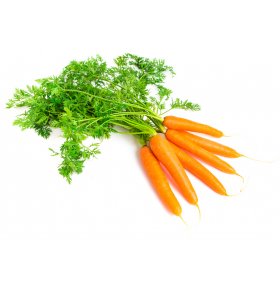 Морковь пучок шт