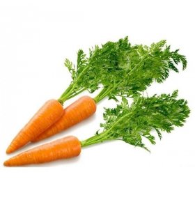 Морковь с зеленью кг
