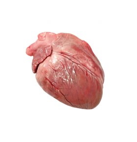Свиное сердце кг
