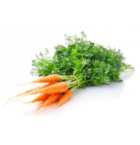 Морковь молодая пучок