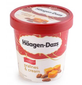 Мороженое Пломбир ванильный с пломбир крем-пралине Haagen Dazs 500 мл