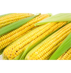 Кукуруза в початках 450 гр